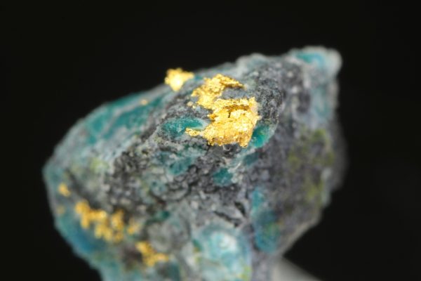 Gold - Image 4
