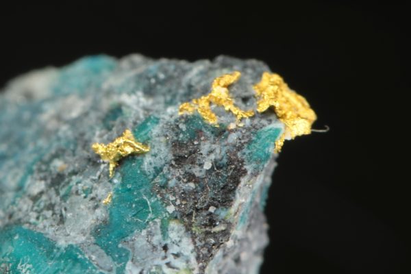 Gold - Image 5