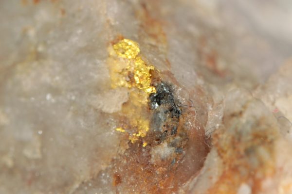 Gold - Image 9