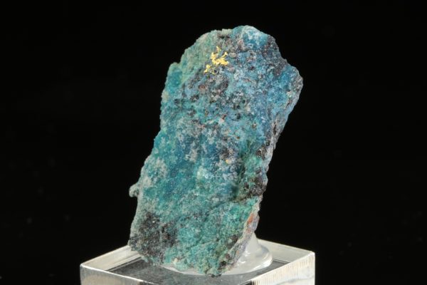 Gold - Image 4