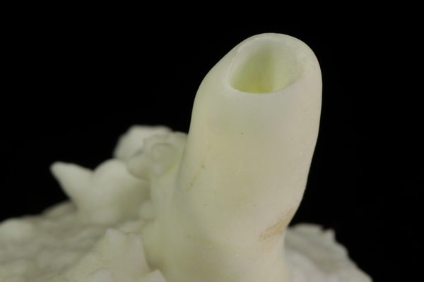 Aragonite - Image 6