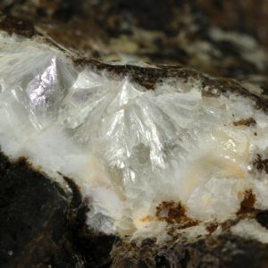 Zeophyllite