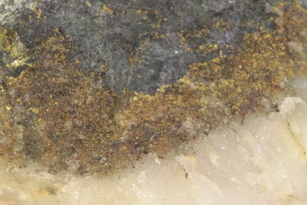 Gold - Image 11
