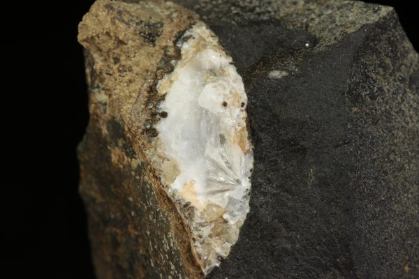 Zeophyllite