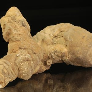 Calcite concretion