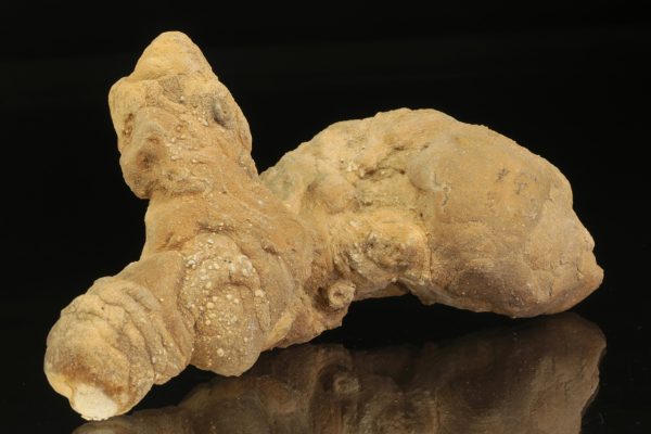 Calcite concretion
