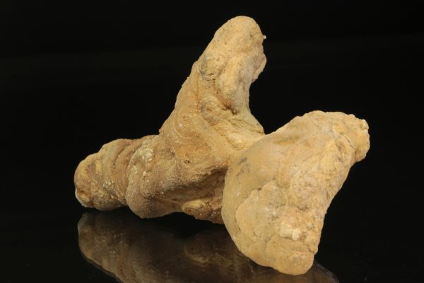 Calcite concretion - Image 3