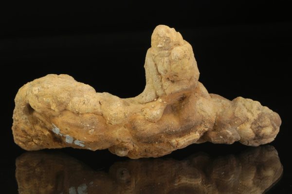 Calcite concretion - Image 4