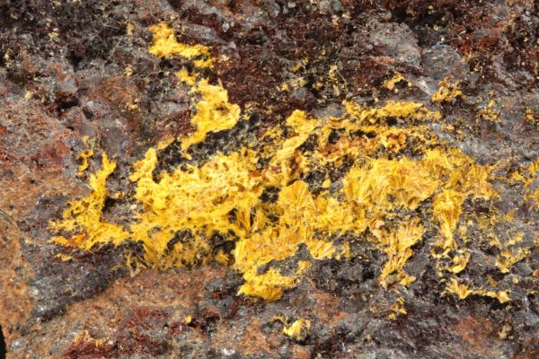 Cacoxenite - Image 3