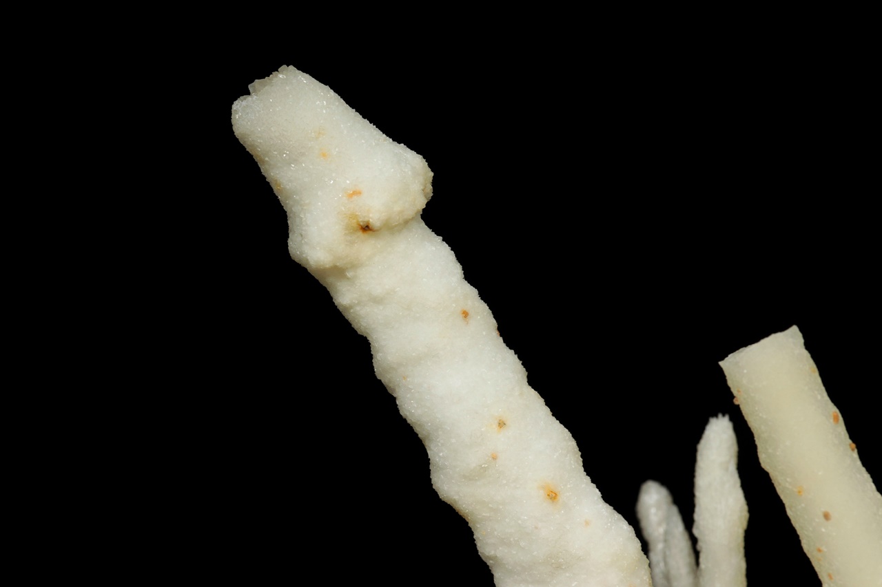 Aragonite - Image 15