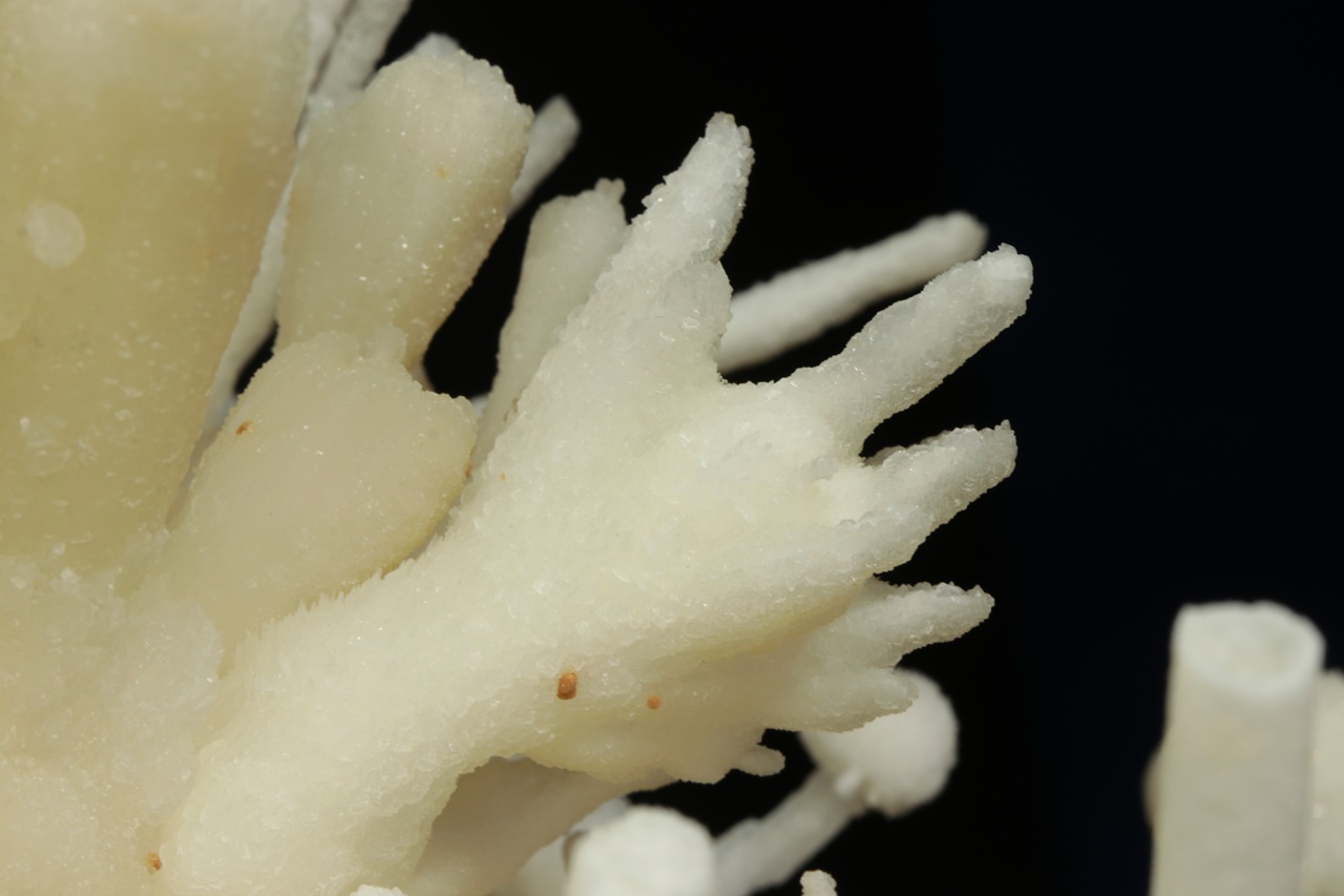 Aragonite - Image 22