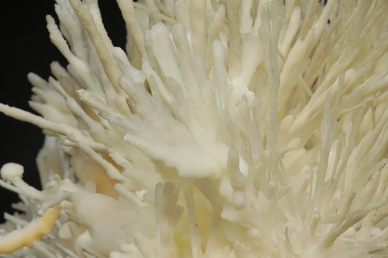 Aragonite - Image 20