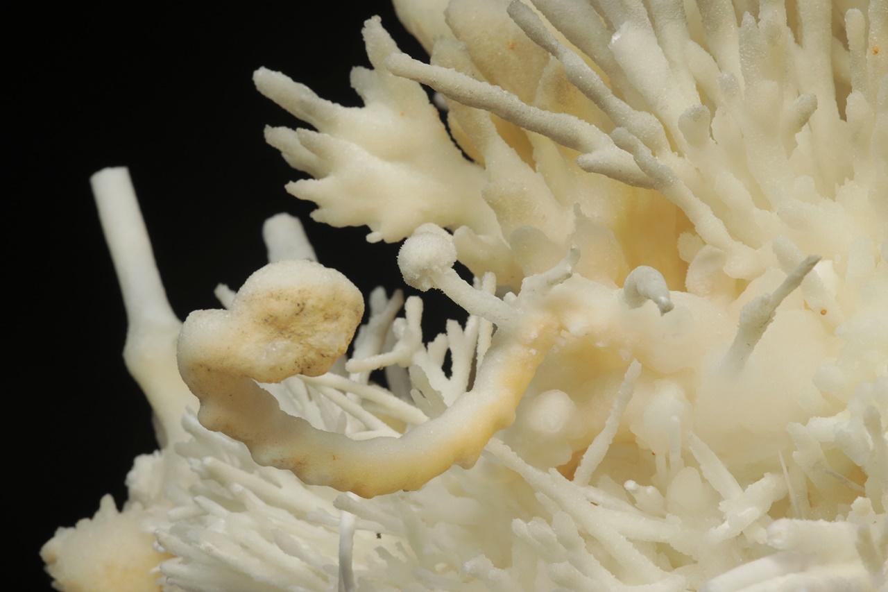 Aragonite - Image 10