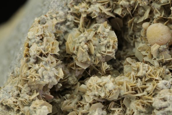 Tridymite, calcite - Image 5