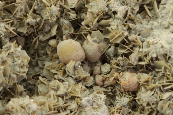 Tridymite, calcite - Image 6