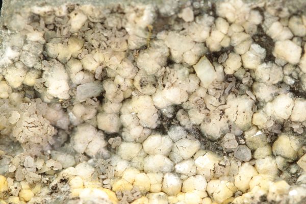 Natrolite, analcime - Image 5