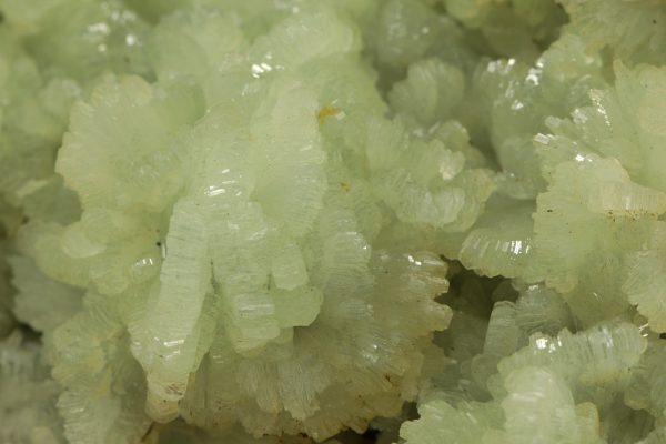 Prehnite - Image 6