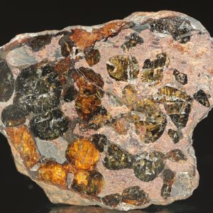 Pallasite