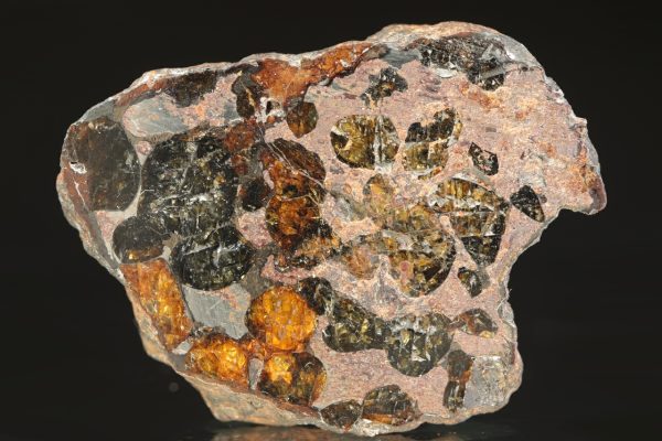 Pallasite