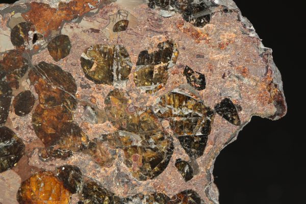 Pallasite - Image 5