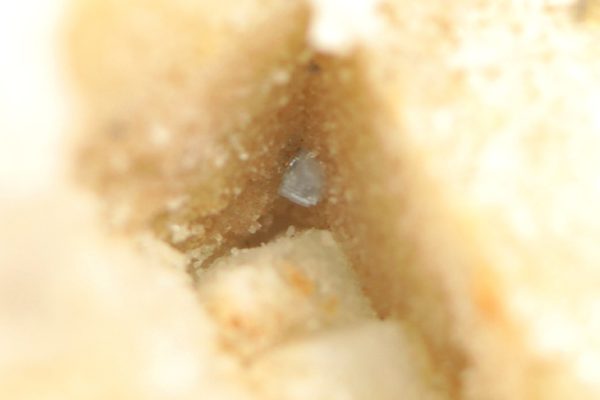 Kolbeckite - Image 4