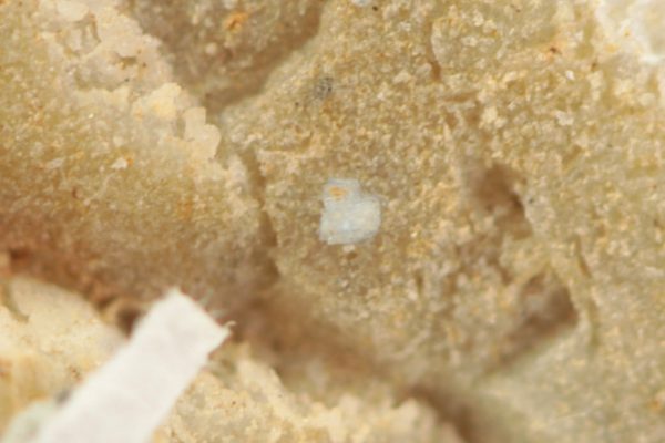 Kolbeckite
