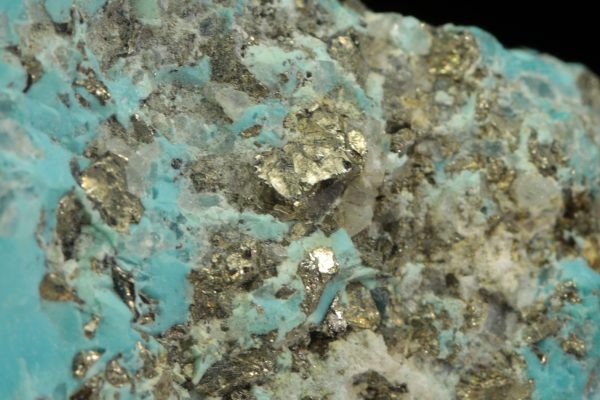 Turquoise - Image 7