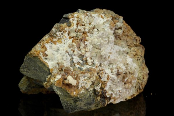 Pharmacolite - Image 2
