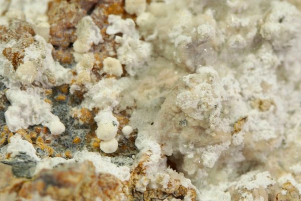 Pharmacolite - Image 3