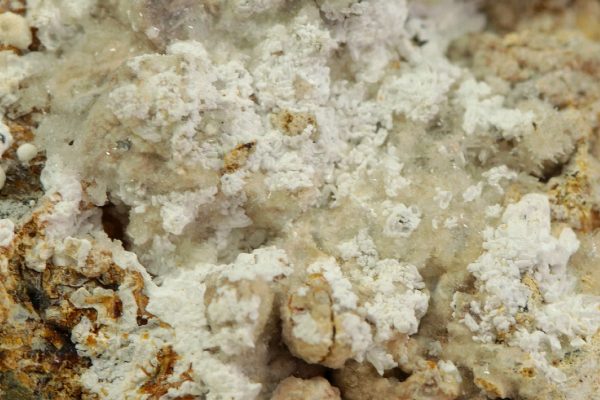Pharmacolite - Image 4