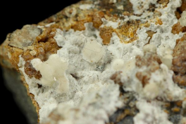 Pharmacolite - Image 5