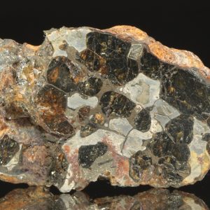 Pallasite