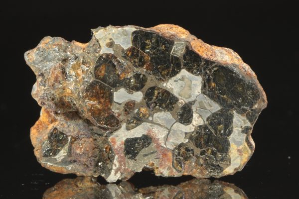 Pallasite