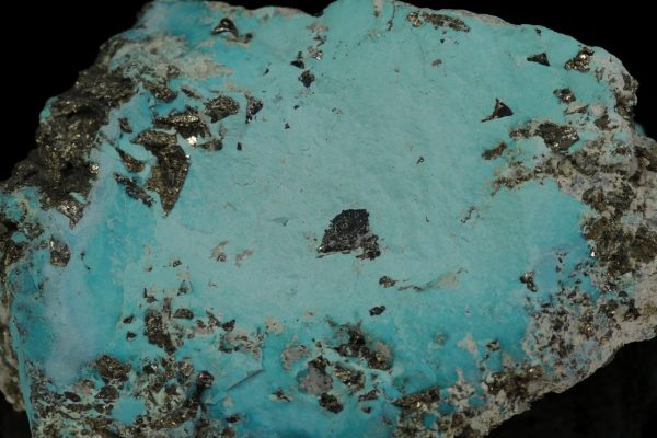 Turquoise - Image 6