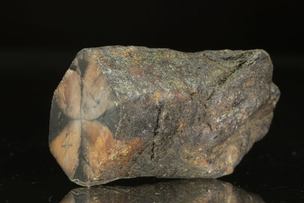 Chiastolite - Image 2