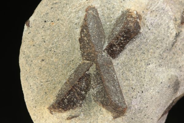 Staurolite - Image 2