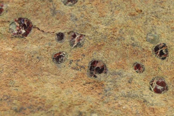 Pyrope - Image 5