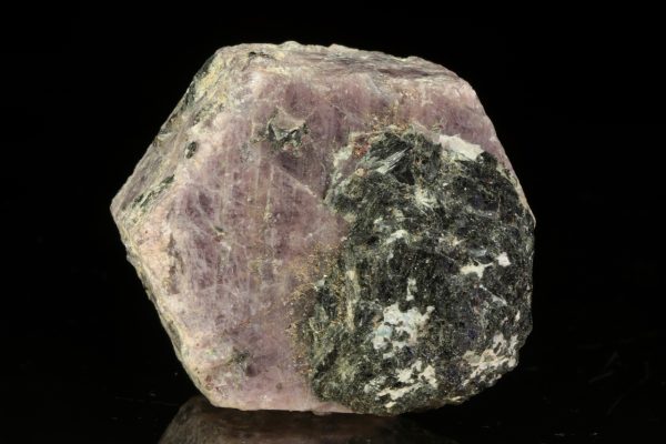 Ruby - Image 3