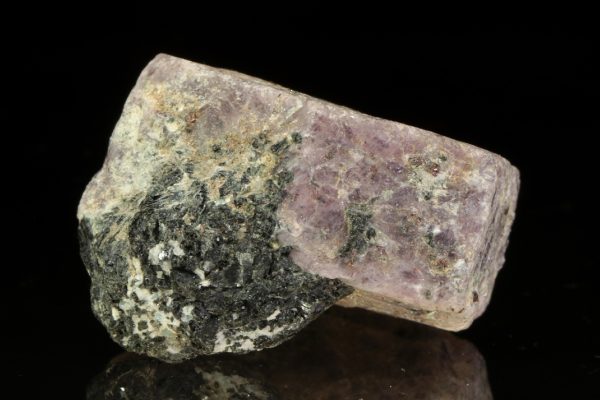 Ruby - Image 4