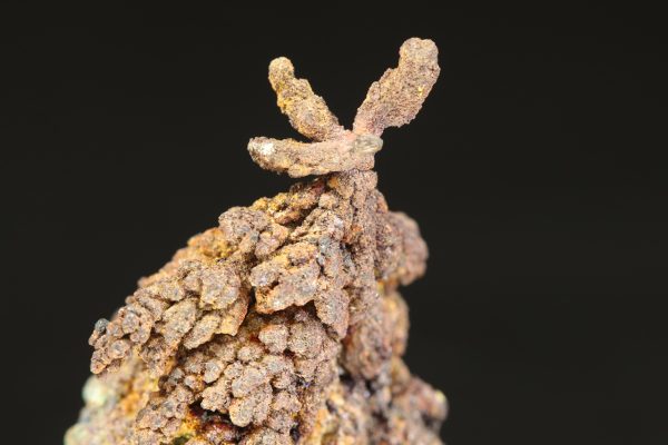 Copper - Image 5