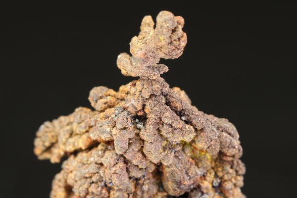Copper - Image 7