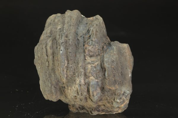 Manganite