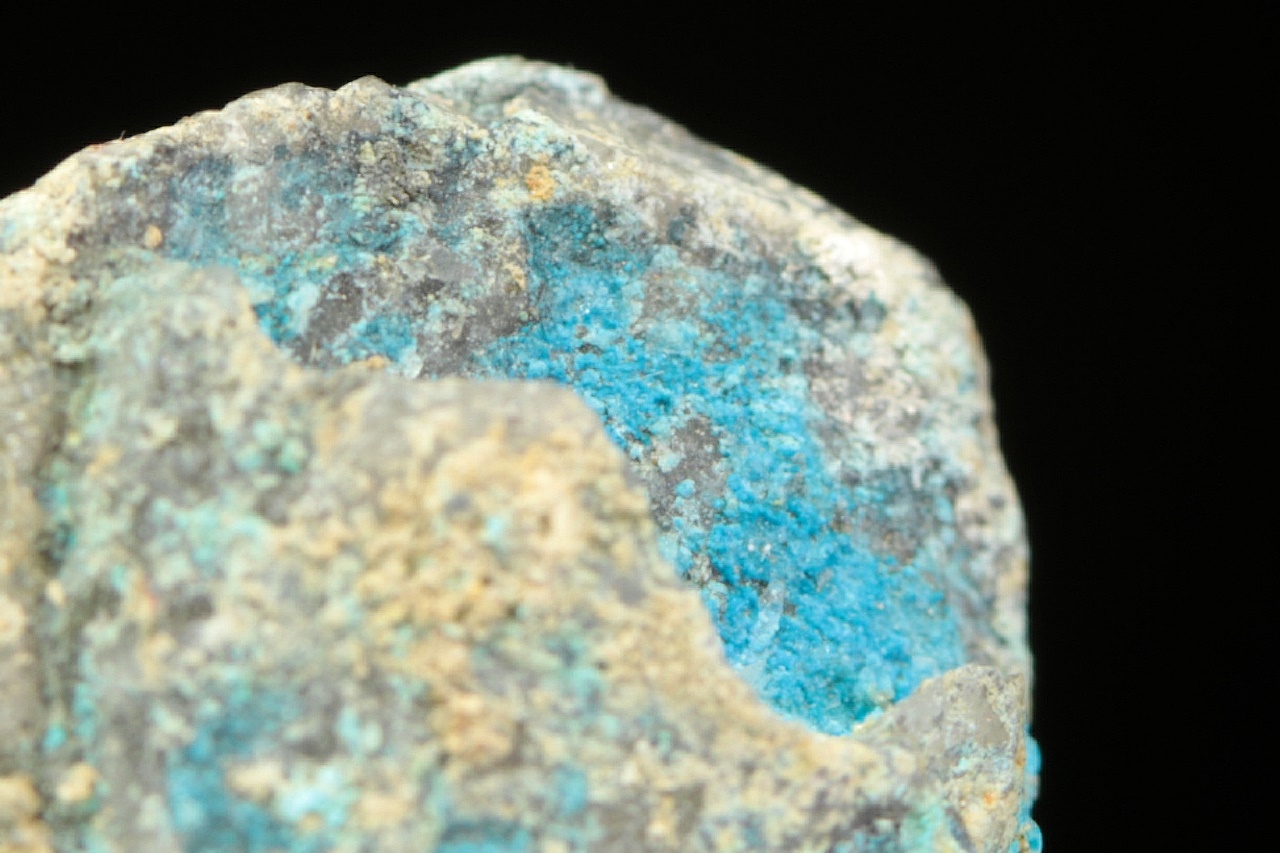 Lavendulan - Image 4