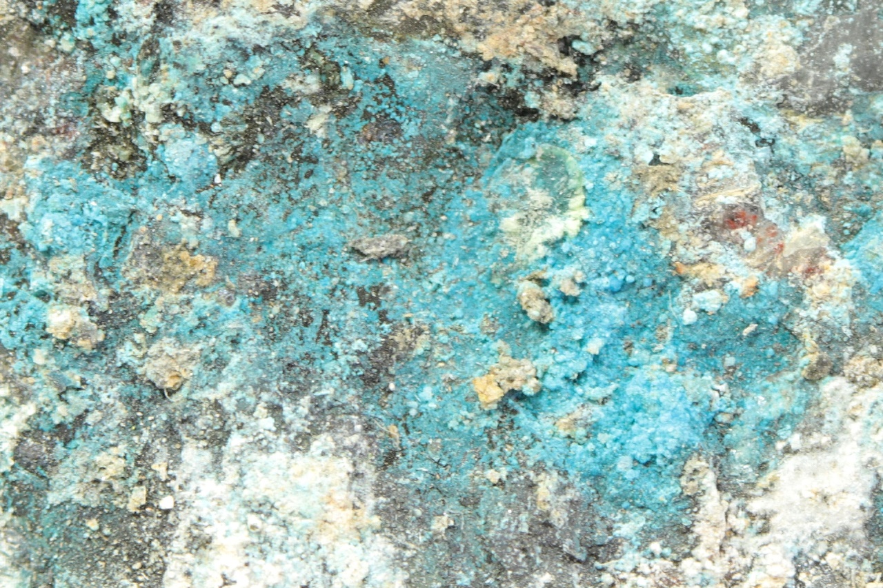 Lavendulan - Image 5