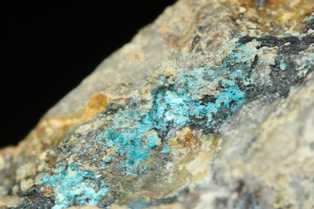 Lavendulan - Image 6