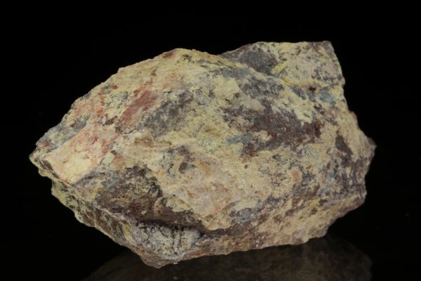 Metavoltine - Image 3