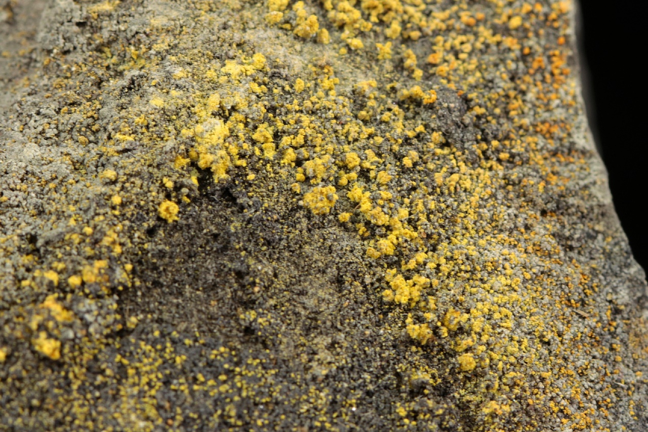 Selenium, sulphur - Image 5