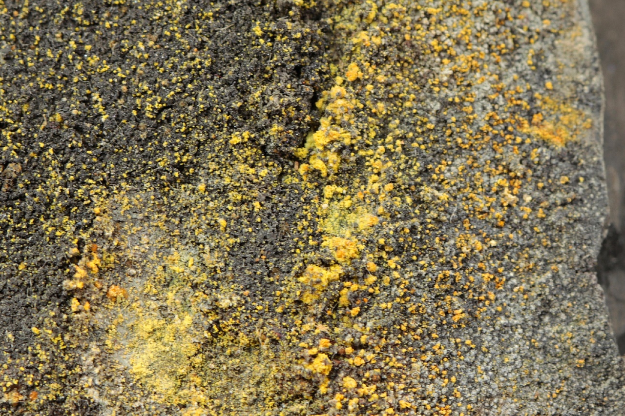 Selenium, sulphur - Image 6