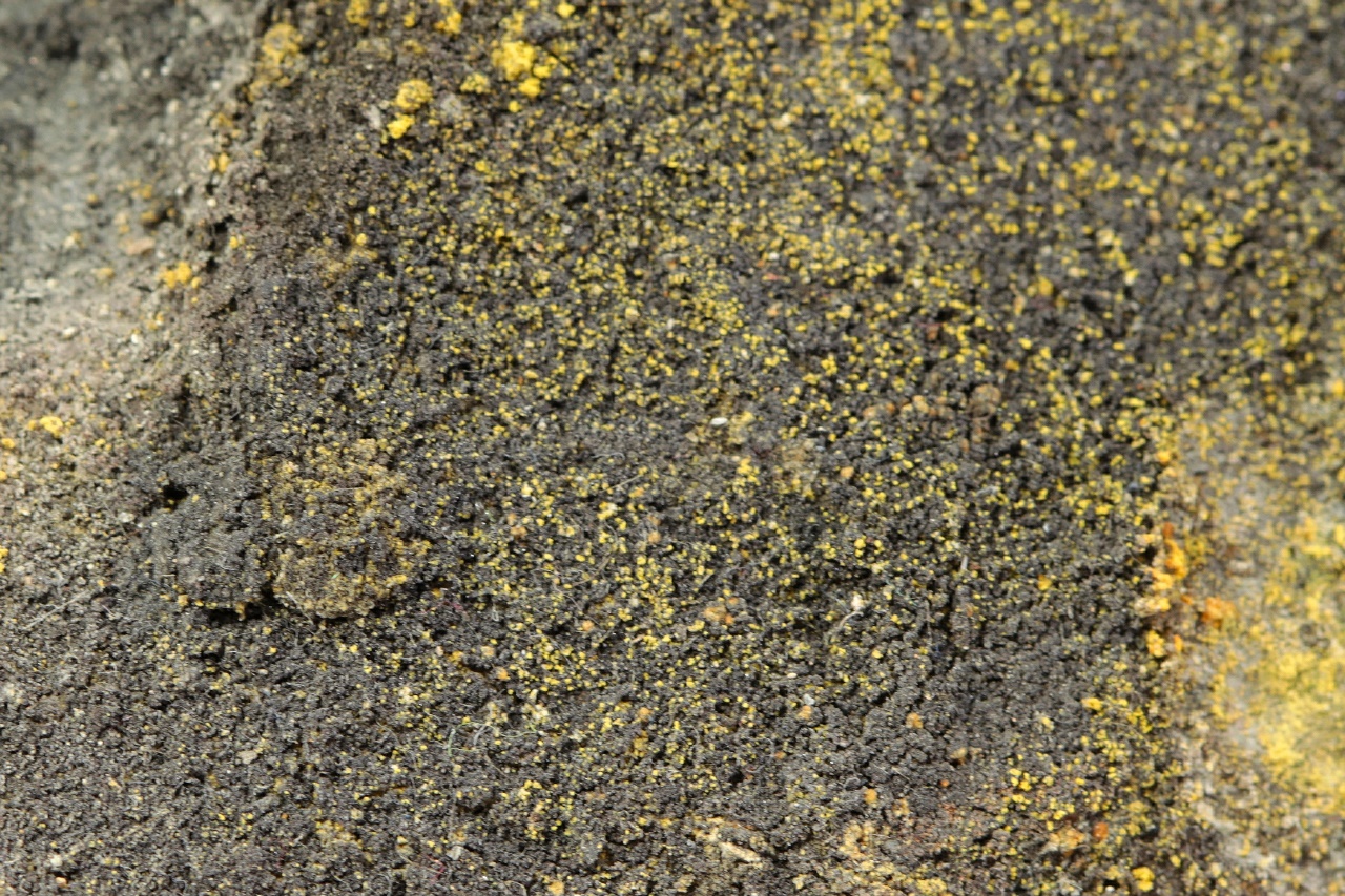 Selenium, sulphur - Image 7