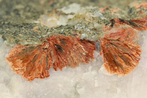 Ferrierite - Image 6